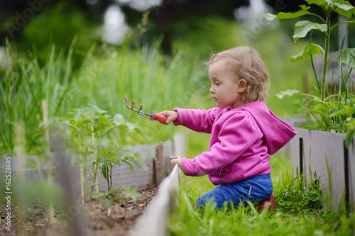 Obraz na plátně The little girl processes beds in a kitchen garden
