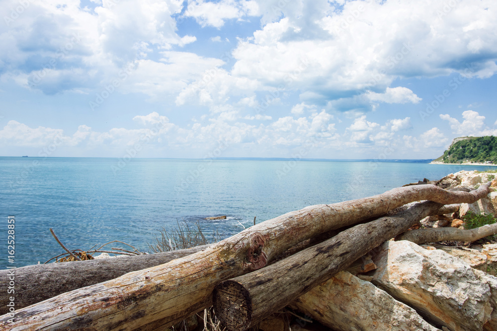 Old Chopped Trees Logs At Sea Coast Line