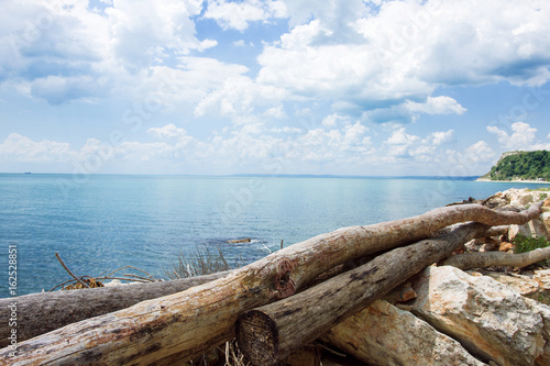 Old Chopped Trees Logs At Sea Coast Line © IM_VISUALS