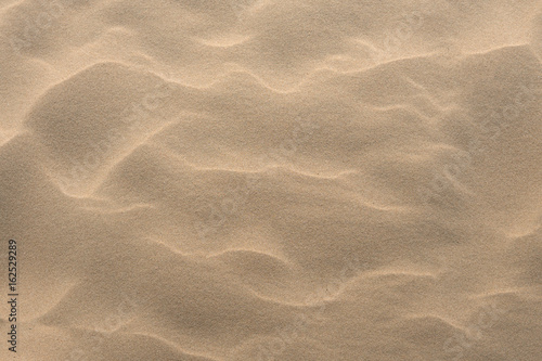sand texture background © songdech17