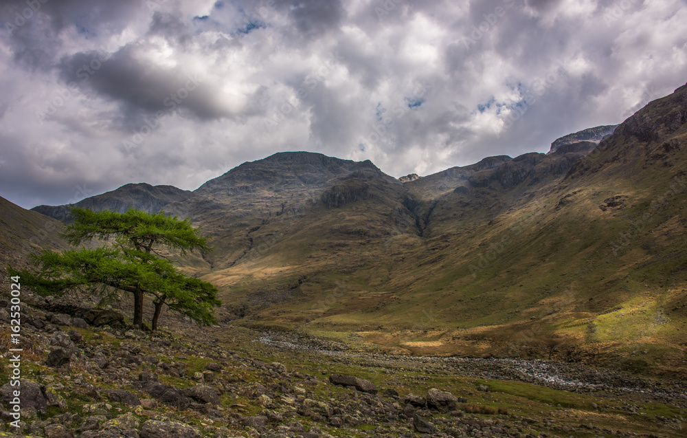 Roaming among the mountains Roaming among the mountains