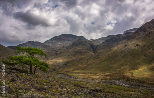 Roaming among the mountains 