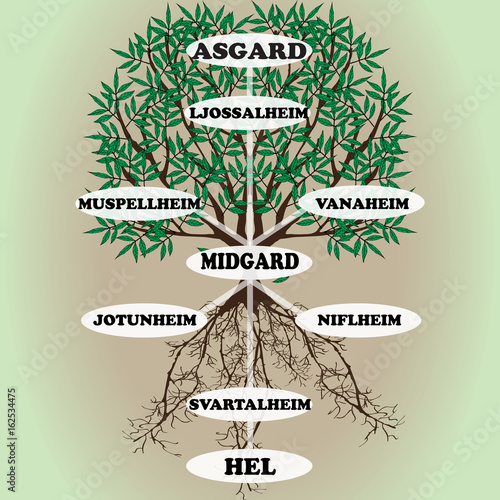 Yggdrasil – vector World tree from Scandinavian mythology. Ash with green leaves and deep-reaching roots is a symbol of the universe. The Vikings believed that Yggdrasill stores and connects 9 worlds photo