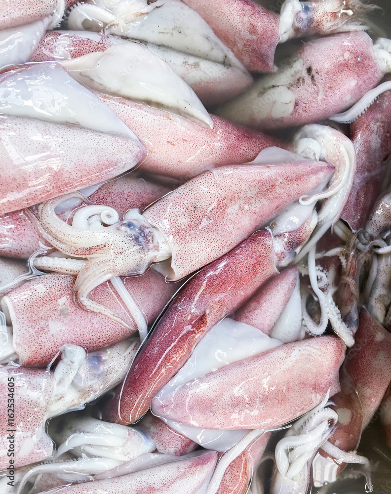 Fresh squid pile.