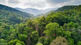 Rainforest aerial view in Thailand