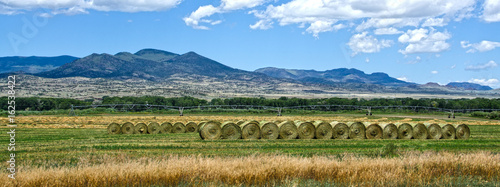 Hay Bales in the San Luis Valley photo