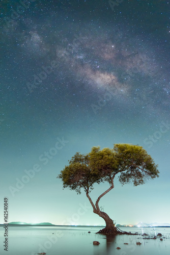 The milky way over big tree in tropical beach with night sky  Thailand