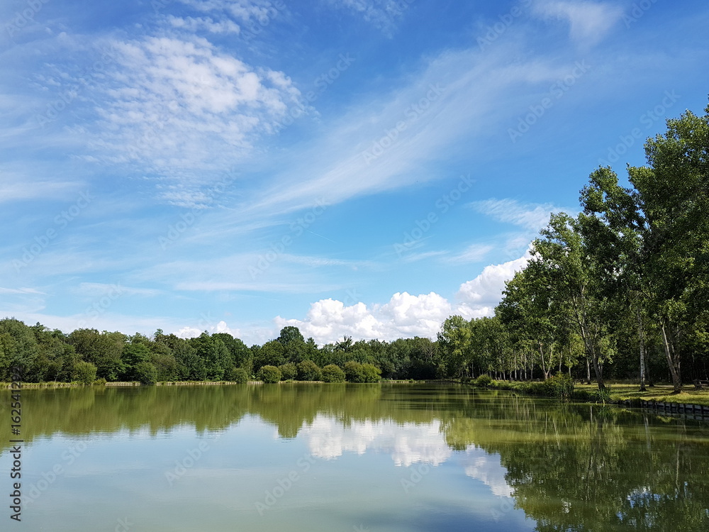 paysage de campagne