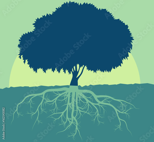 Tree with roots vector abstract background concept with vintage