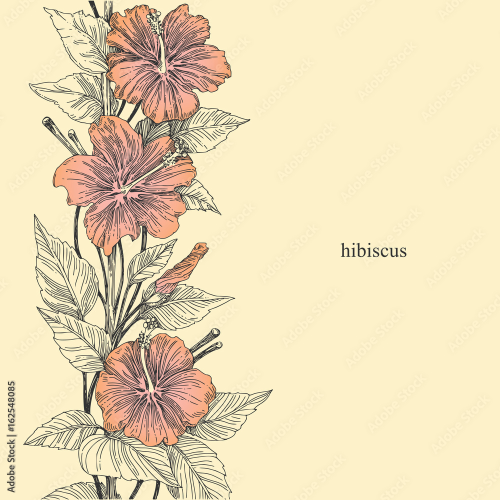 Beautiful background with hibiscus flowers. Vintage style. Vector ...