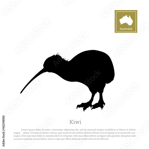 Black silhouette of kiwi bird on white background. Animals of Australia. Vector illustration 