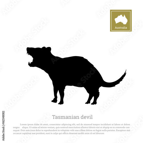 Black silhouette of  tasmanian devil on white background. Animals of Australia. Vector illustration 