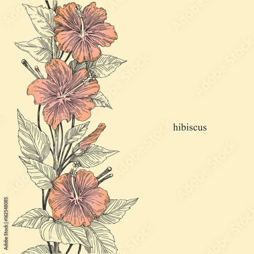 Beautiful background with hibiscus flowers. Vintage style. Vector illustration.