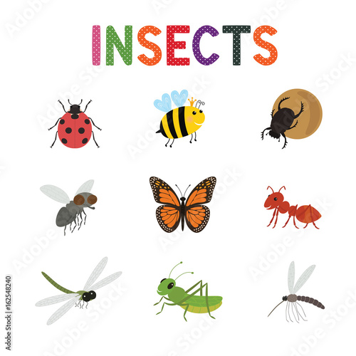 Funny insects, cute cartoon bugs vector set. Colored insects bee butterfly and ladybird,