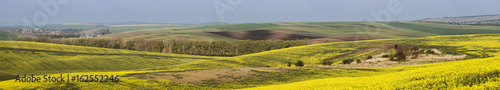 Panoramic view of South Moravia fields