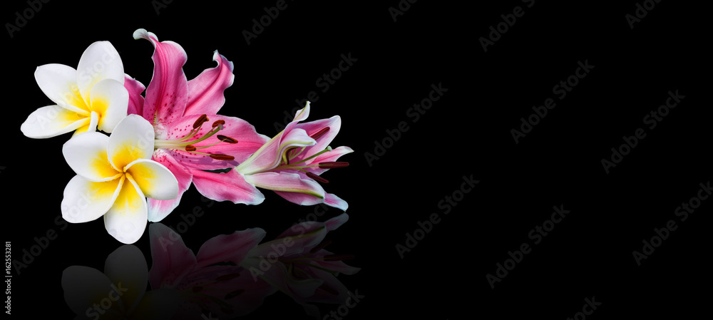 Obraz premium Frangipani or Plumeria and lily flower on black background with copy space. Spa background.