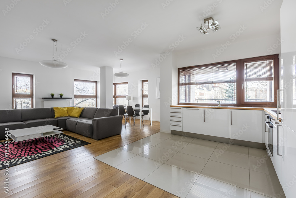 Living room with kitchenette Living room with kitchenette