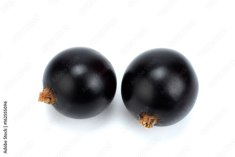 black currant isolated on white background black currant isolated on white background