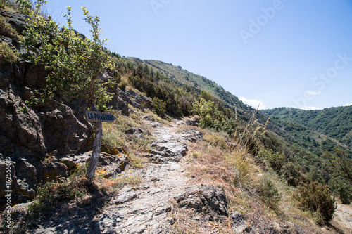 Sentiero Naturalistico Calavà, fine primavera 