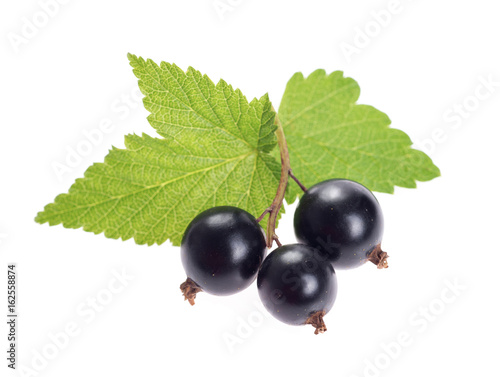 black currant berries with leaf isolated on white background