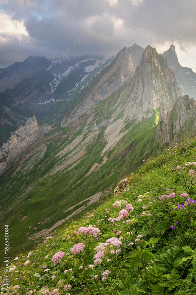 Schläfer Alpstein