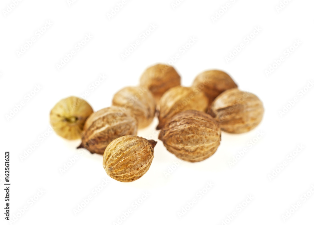 Coriander seeds isolated on white background, selective focus Coriander seeds isolated on white background, selective focus