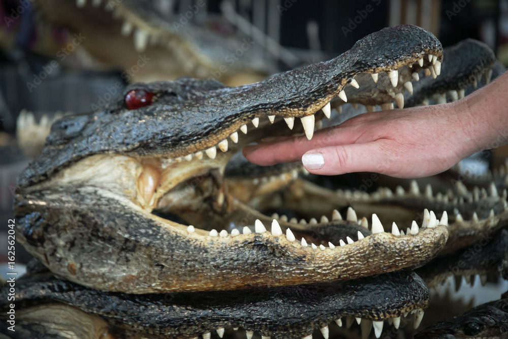 Obraz premium Promise Not To Bite