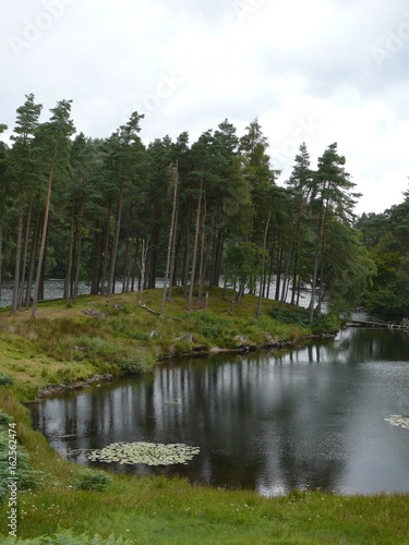 Tarn Howes Cumbria UK