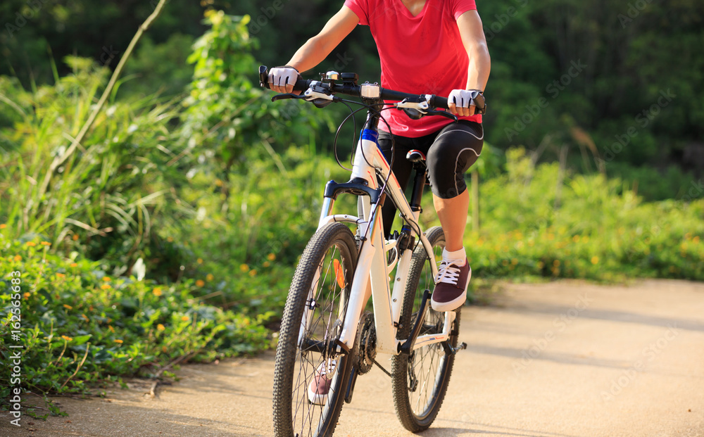 woman cyclist cycling on summer forest trail woman cyclist cycling on summer forest trail