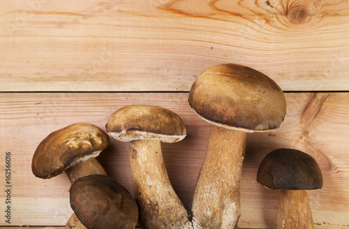 Boletus edulis and birch bolete mushrooms on wood 