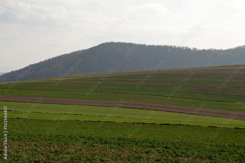 A spring landscape on the hills