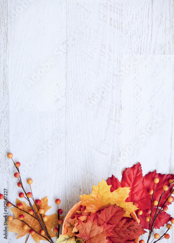 Autumn Thanksgiving Background with Copy Space