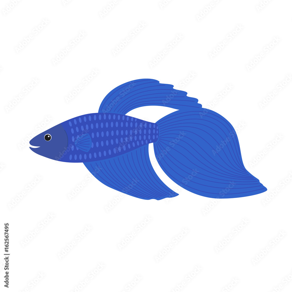 Cartoon blue betta fish, siamese fighting fish, betta splendens ...