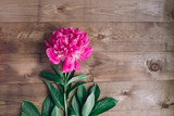 Row of peonies on wooden background with space for message. Women's or Mother's Day background. Top view