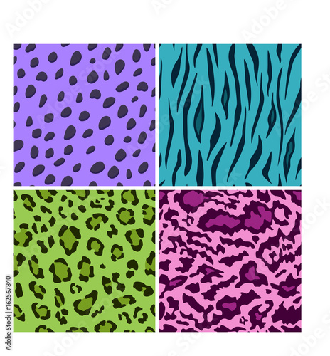 Set of seamless animal bright color patterns, vector feline or cat background