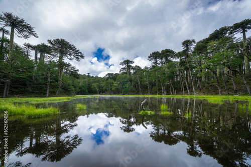 Laguna Los Patos in Huerquehue National Park