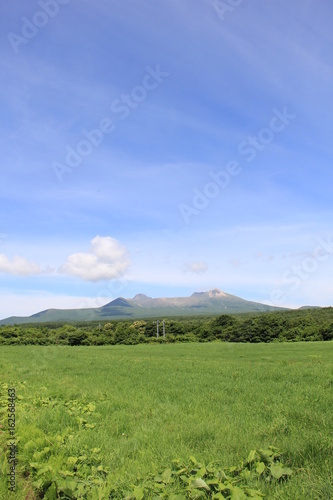 草むら越しに見える北海道駒ヶ岳/遠景(北海道)
