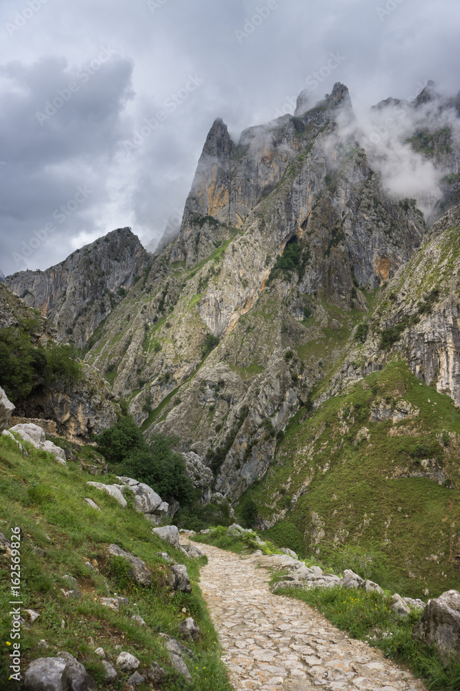 Obraz premium Beautiful landscape of the mountains in Picos de Europa in Spain; hiking trail in foggy and cloudy summer day