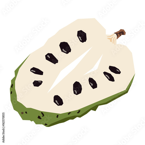 Isolated geometric cut soursop on a white background, Vector illustration