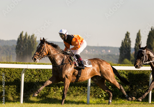 Horse races, jockey and his horse goes towards finish line. Traditional European sport.