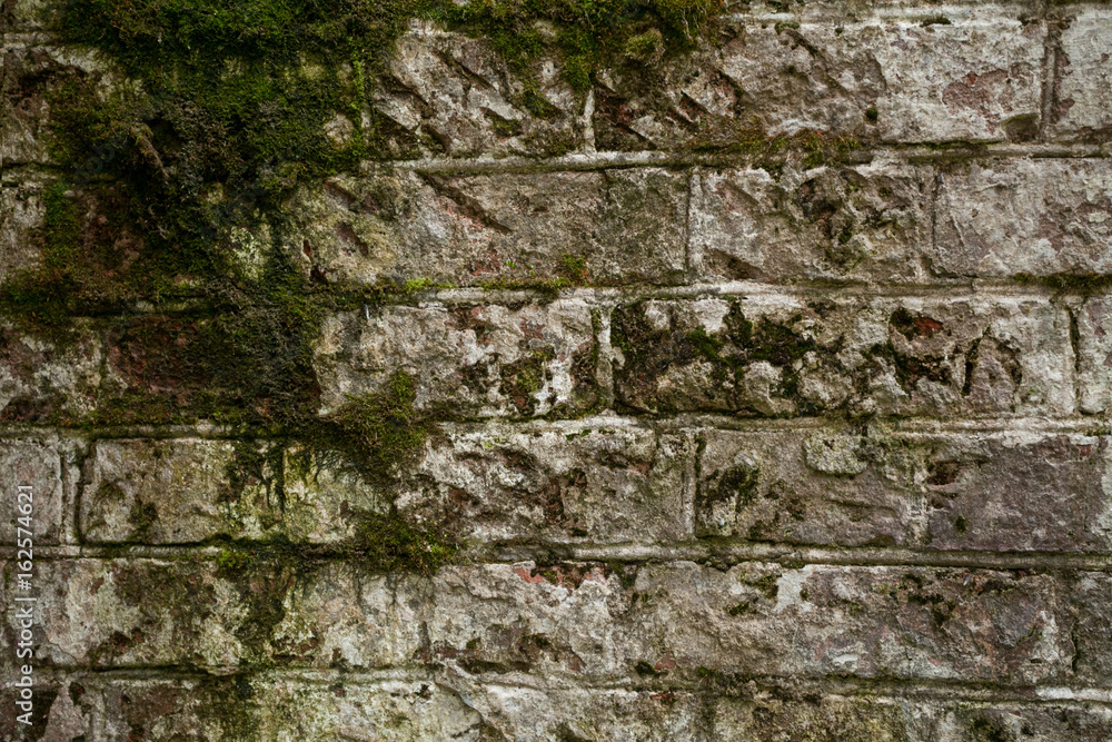 old brick wall overgrown with moss old brick wall overgrown with moss