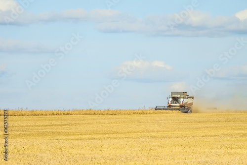 Foto Сombine harvester are working on harvesting in the field