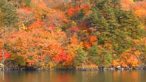 日本の美しい紅葉　十和田湖
