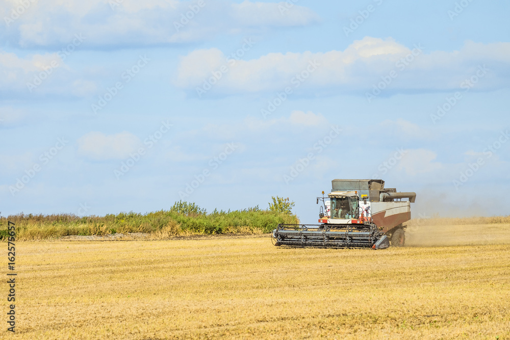Combine harvester in the field Combine harvester in the field