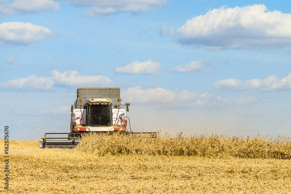 Obraz premium Harvester harvesting works in the field on a sunny day