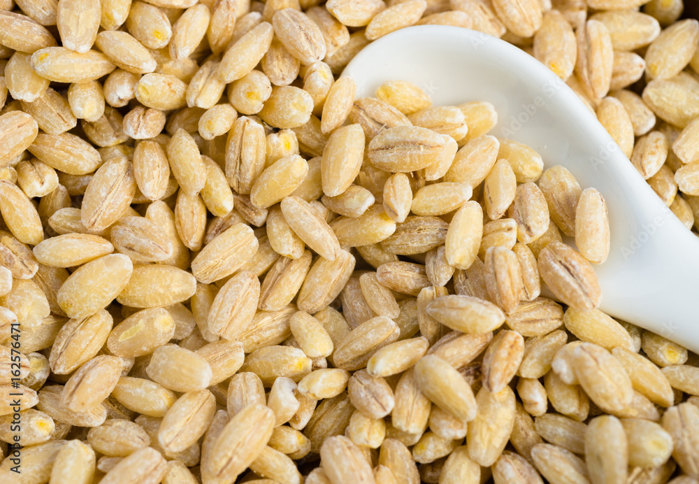 Pearl Barley Pearled Whole Grain Food Pearl Barley Pearled Whole Grain Food