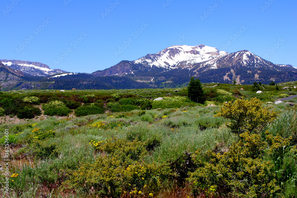 Fototapeta premium Sierra Mountains