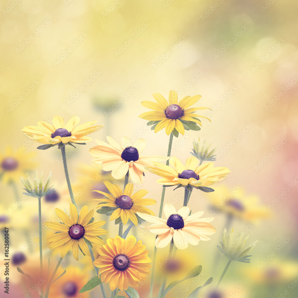 Yellow Flowers background