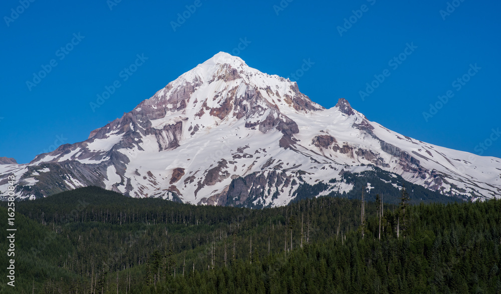 Mt Hood Brightly Lit by Afternoon Light 