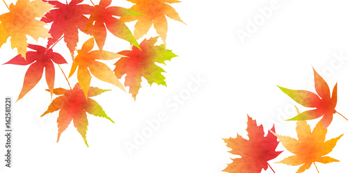 紅葉　秋　和紙　背景